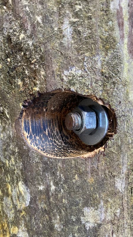 Yuyarina Pacha Kids Library